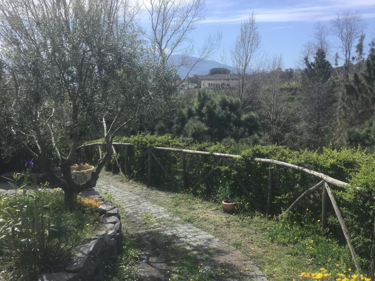 Tenuta Terradifuoco Terzigno Bagian luar foto